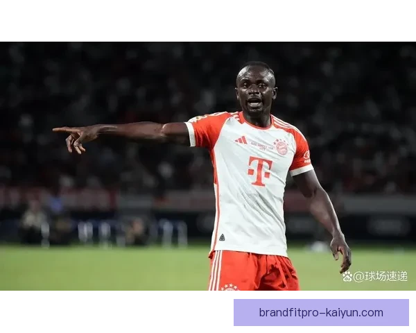 雷恩转会策略持续优化,引援计划备受关注 雷恩转会策略持续优化,引援计划备受关注